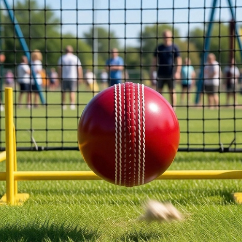 Just For Kicks Red Cricket Ball