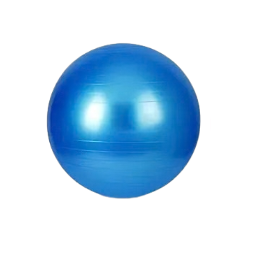 Just For Kicks Exercise Ball